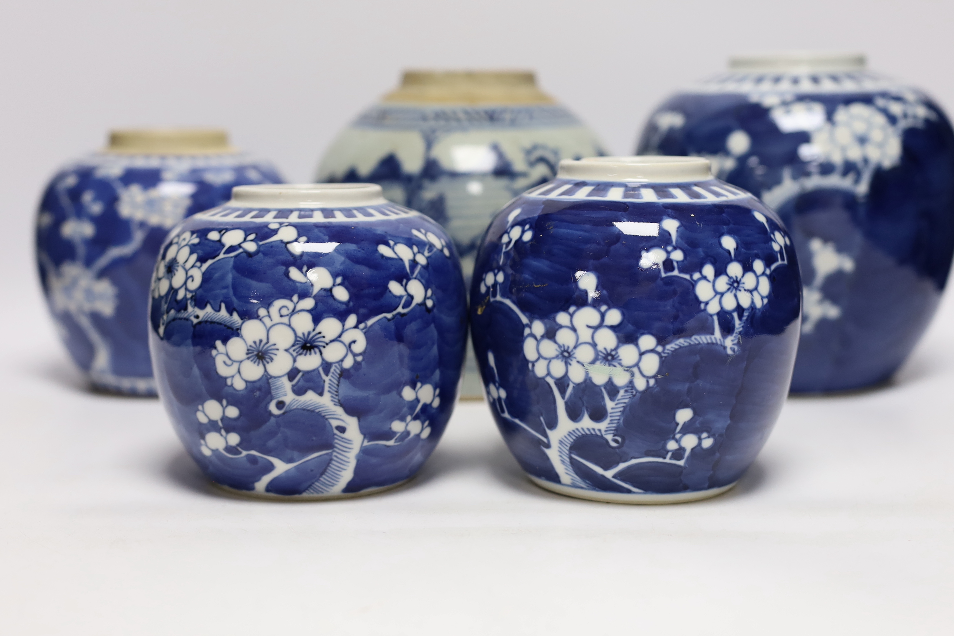 A collection of Chinese blue and white ginger jars including seven prunus flower examples, largest 18cm high